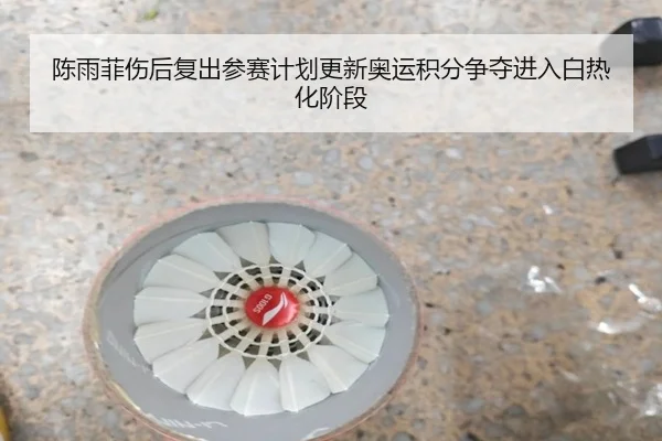 陈雨菲伤后复出参赛计划更新奥运积分争夺进入白热化阶段